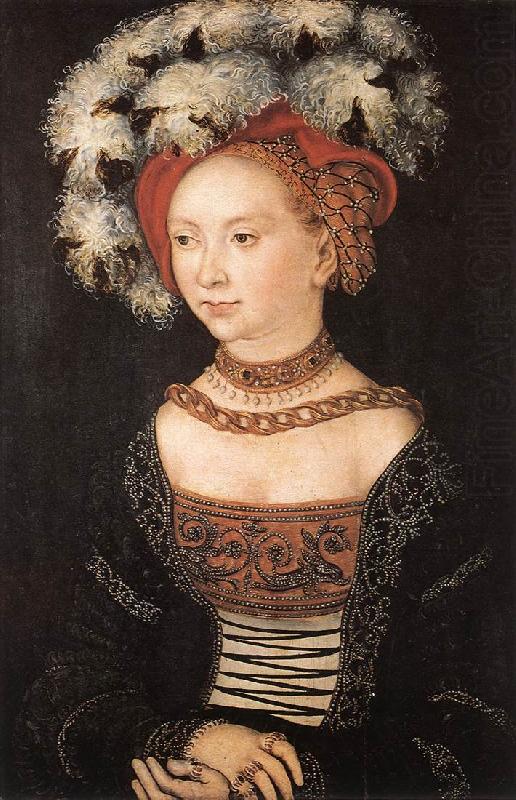 Portrait of a Young Woman dfg, CRANACH, Lucas the Elder